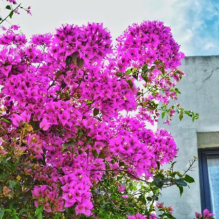 كولونيا ديل ساكرامينتو Posada Santa Rita المظهر الخارجي الصورة